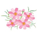 MAI138 네이버블로그