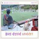 곰탱이커피 | 동두천 애견카페 소르피아97 방문 후기 캠핑감성까지 즐기는 동두천 바베큐장 & 동두천 카페 추천