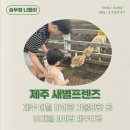 새별농장 | 제주 애월 아이랑 가볼 만한 곳 새별프렌즈 방문후기