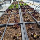 향기농장 이미지