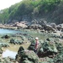 삽시도통나무펜션 이미지