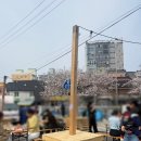 뽑기사관학교 | 2026 진해 군항제 먹거리 총정리 (전메뉴 먹어본 후기 + 웨이팅 꿀팁)