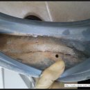 양덕동107 이미지