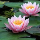 이것이 사랑이다 (The Soul Portal)-16 이미지