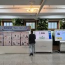 그림책 음악 숲:그림책과 음악의 만남 이미지