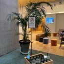 북두칠성 | [부산] 데이트하기좋은 힐링 스팟 | 북두칠성도서관 후기