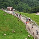 관동목장 이미지