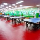 힐링탁구 이미지