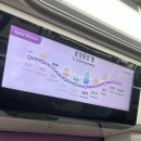 사라캣 | 도자캣 내한 공연 후기 Ma Vie World Tour | 셋리스트, 지정석 시야, 표 검사