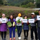 미남농장 이미지