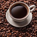 금메달농장 | 과테말라 엘사랄 내추럴 커피원두: 고유한 풍미의 세계로 초대합니다