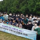 토종흑염소 이미지