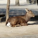 이츠호텔 이미지