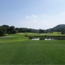 라인골프 이미지