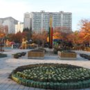 산본중앙공원 이미지