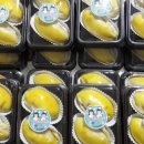 흥보관