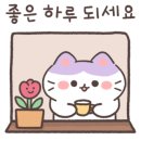 두부네 펫살롱 이미지