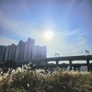 응봉노래연습장 이미지