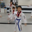 조원태권도장 이미지