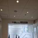 고산환승정류장 | [오사카] 곤고산(1,125m) 등산 후기 (가는법)