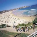 (주)나라여행사 이미지