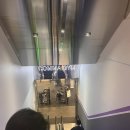 콤마짐 망우역점 | [남의헬스장리뷰] 독일짐80오피셜센터 서울중랑구망우역에 위치한 역대급 헬스장 "콤마짐 망우역점"