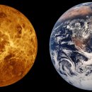 가까운동물병원 이미지