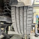 비비게러지 이미지