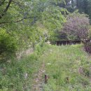 숲속의 산책 이미지