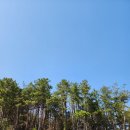 컴포어거두점 이미지