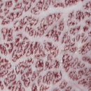 거제시 견인보관소 이미지