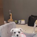 보듬보듬 이미지