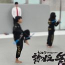 합기도 우리도장 이미지