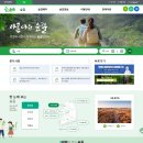E-레포츠