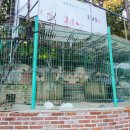 남산촌장골 | 천안아산 돼지갈비맛집 신정호 남산 촌장골 내돈내산 후기