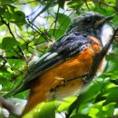 이목산전 이미지