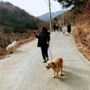 허그안리트릿 이미지