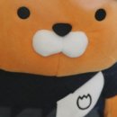 라이온 스크린골프 이미지