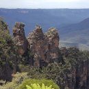 블루마운틴 이미지