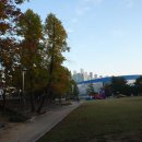 원주종합체육관 이미지