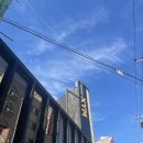 엑스와이엠 모텔(XYM Motel) | [대전여행]대전 애견동반 1박2일여행/대전애견동반숙소 대전 엑스와이엠(xym)