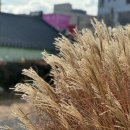 칠암 농장 이미지