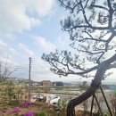 설레임 스토리 펜션 이미지