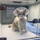 메이 동물병원 이미지