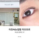 미오모르
