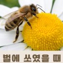 덕소로56 이미지