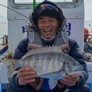 약산면-2 이미지