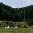 카페(CAFE)051 신모라점 | [부산] 부산 괴정 숲 뷰 이색 카페 사진 찍기 좋은 대형카페 만디 cafe mandi