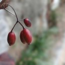 정우약국 이미지