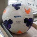 수원-0286 이미지